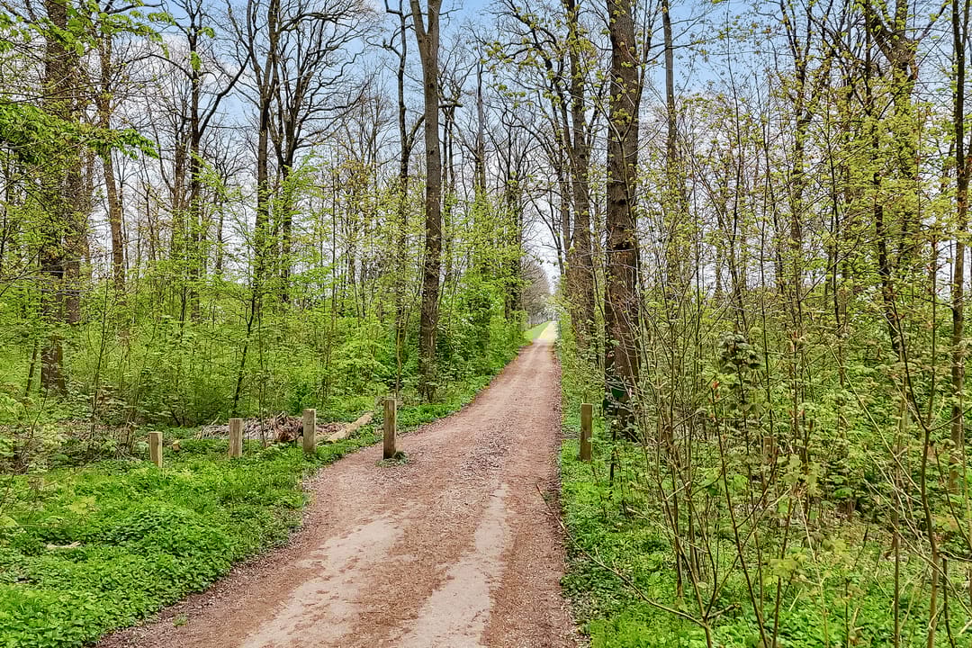 Photo 73 of De Vroonhof 1