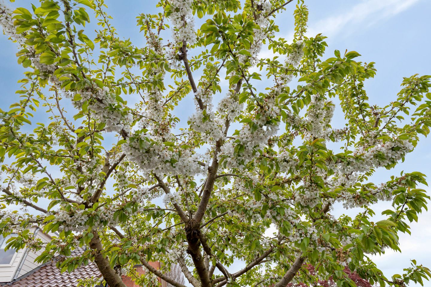 Foto 25 van Postweg 10