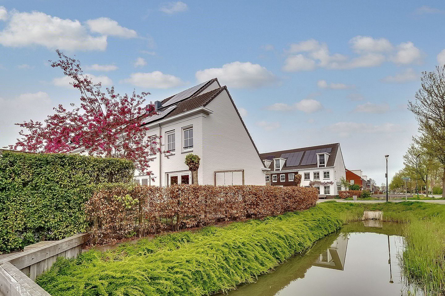 Photo 55 of De Vroonhof 1