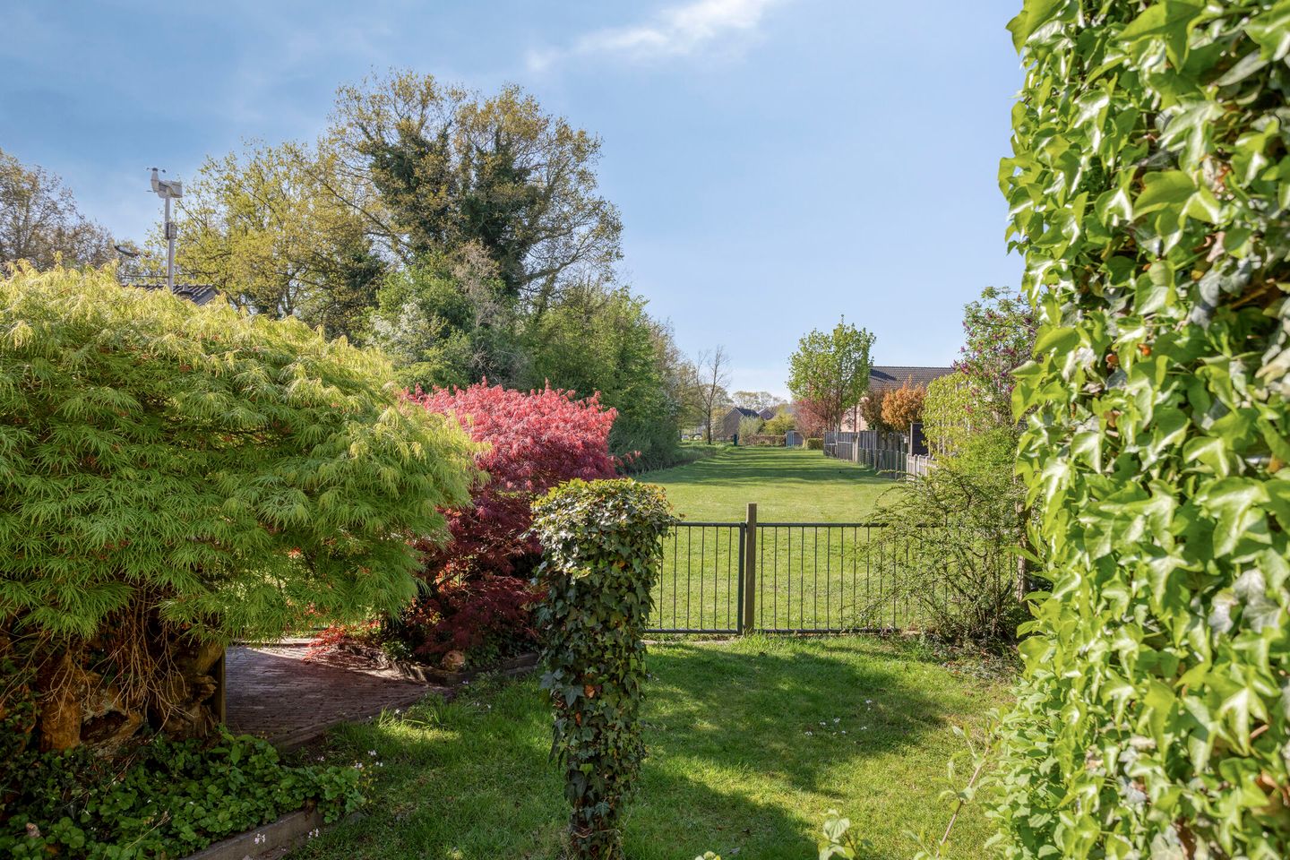 Foto 44 van Linde 42