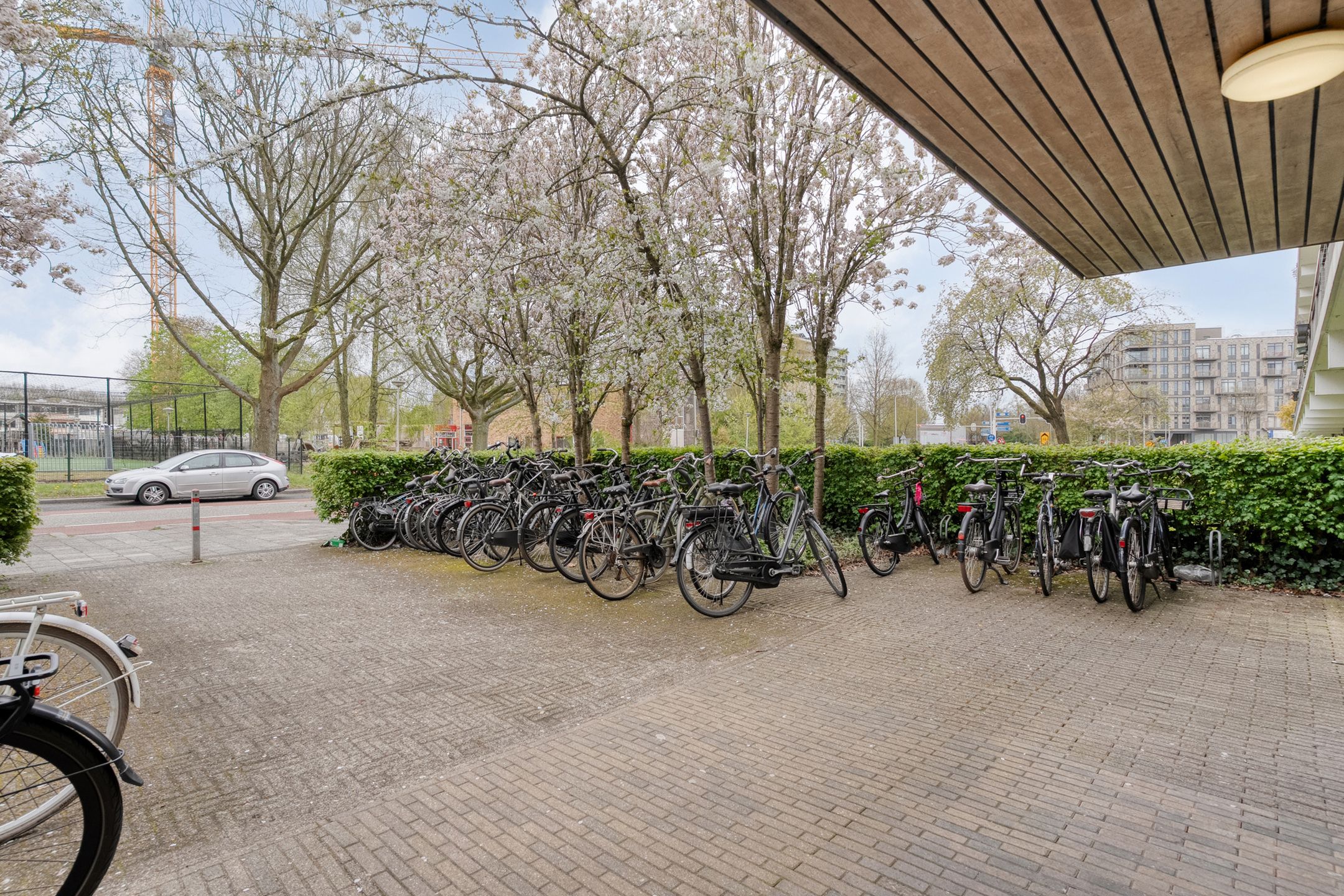 Foto 6 van Monteverdilaan 101