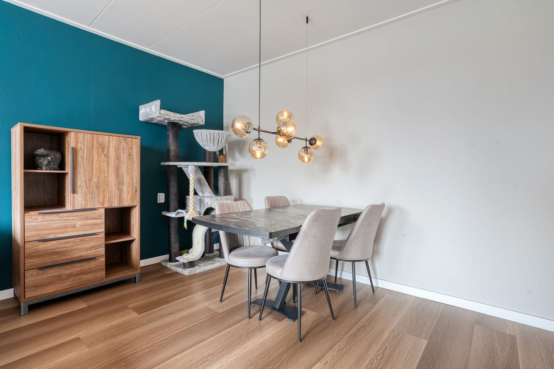 Foto 17 van Monteverdilaan 101