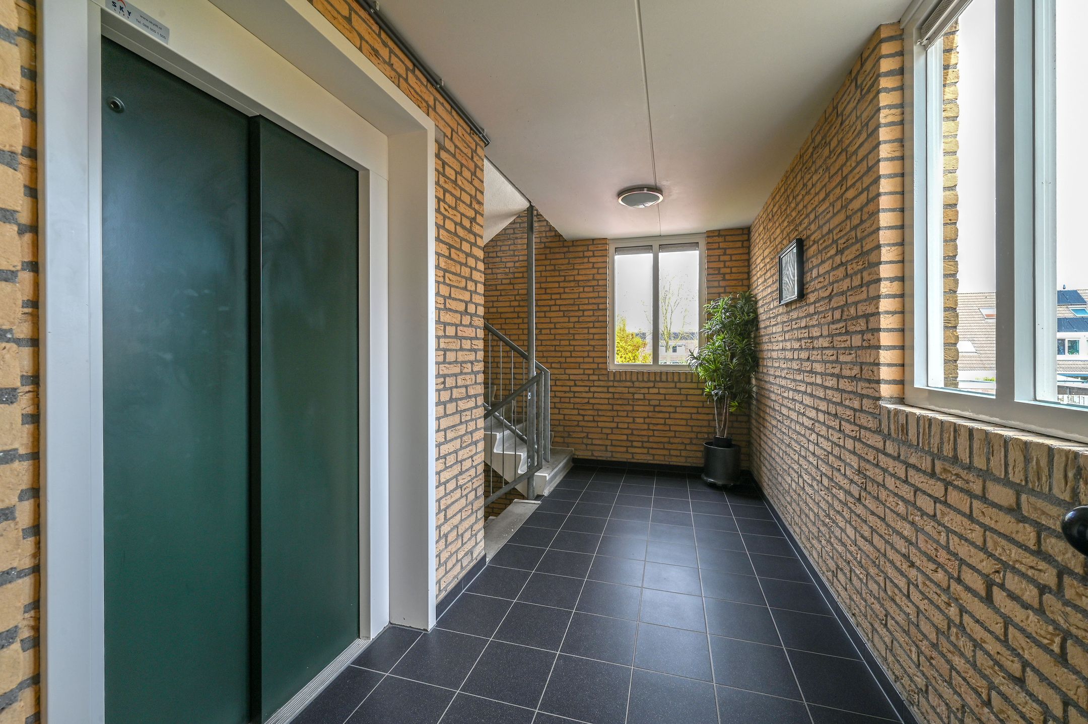 Photo 21 of Spinel 16