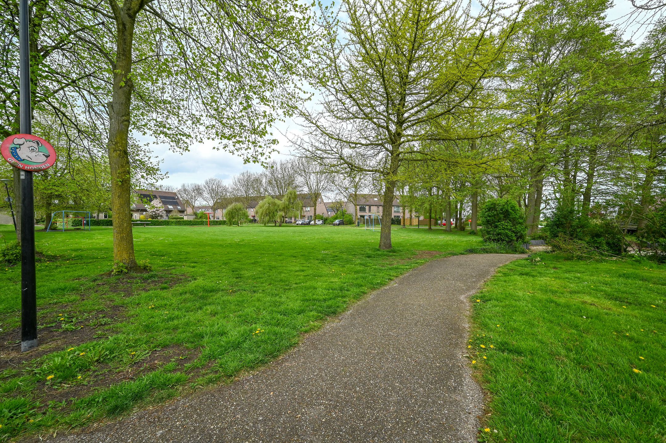 Photo 27 of Spinel 16