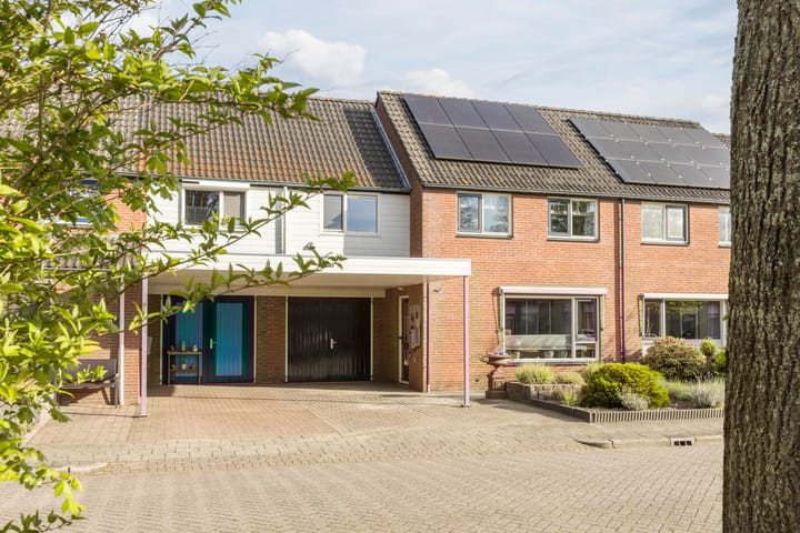 Foto 3 van Kamperfoelie 20