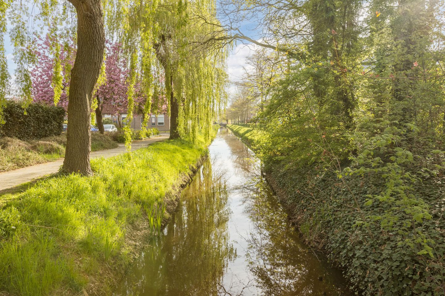 Foto 64 van Kamperfoelie 20