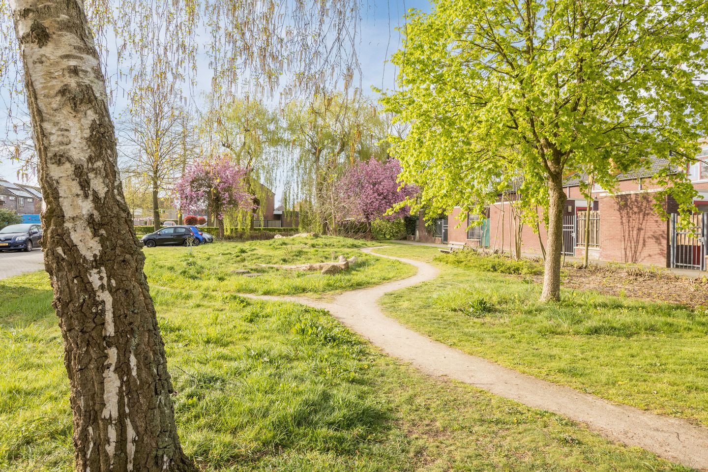 Foto 65 van Kamperfoelie 20