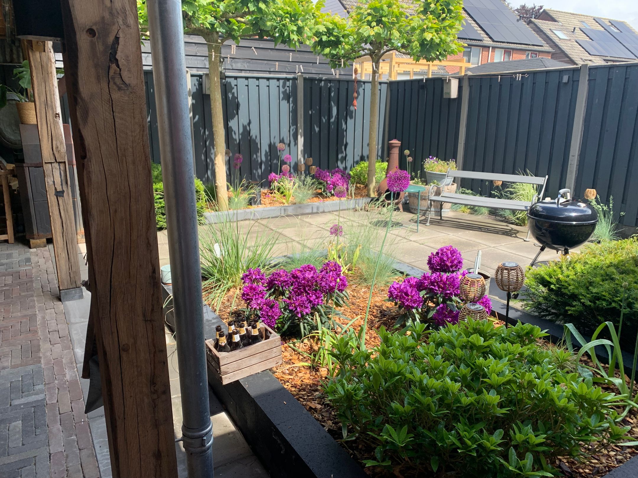 Foto 63 van Kamperfoelie 20