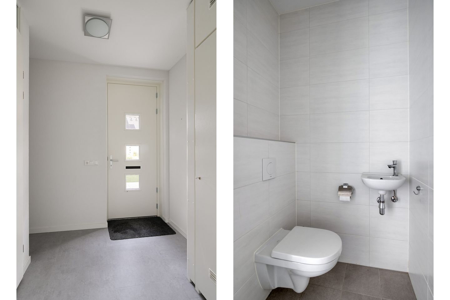 Foto 5 van Boerenzwaluw 10