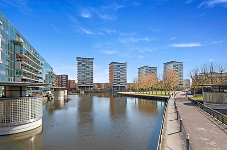 Fijnjekade thumbnail