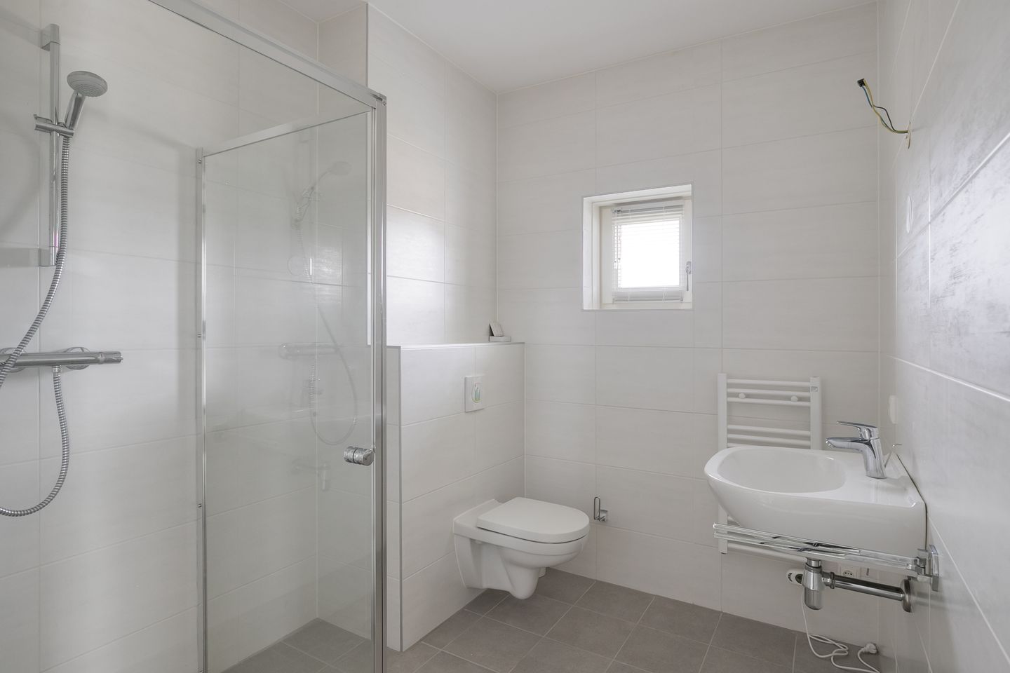 Foto 19 van Boerenzwaluw 10