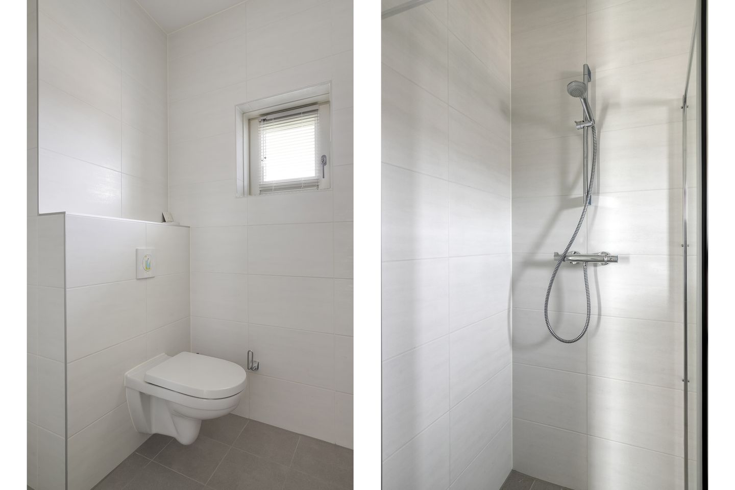 Foto 20 van Boerenzwaluw 10