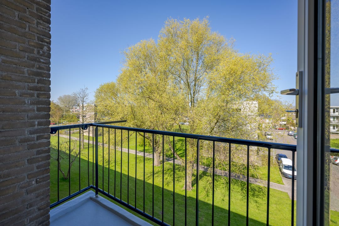 Foto 28 van Frans Halsplantsoen 137