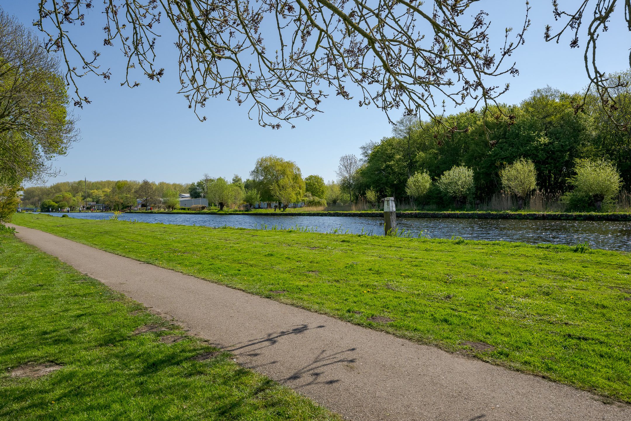 Foto 33 van Frans Halsplantsoen 137