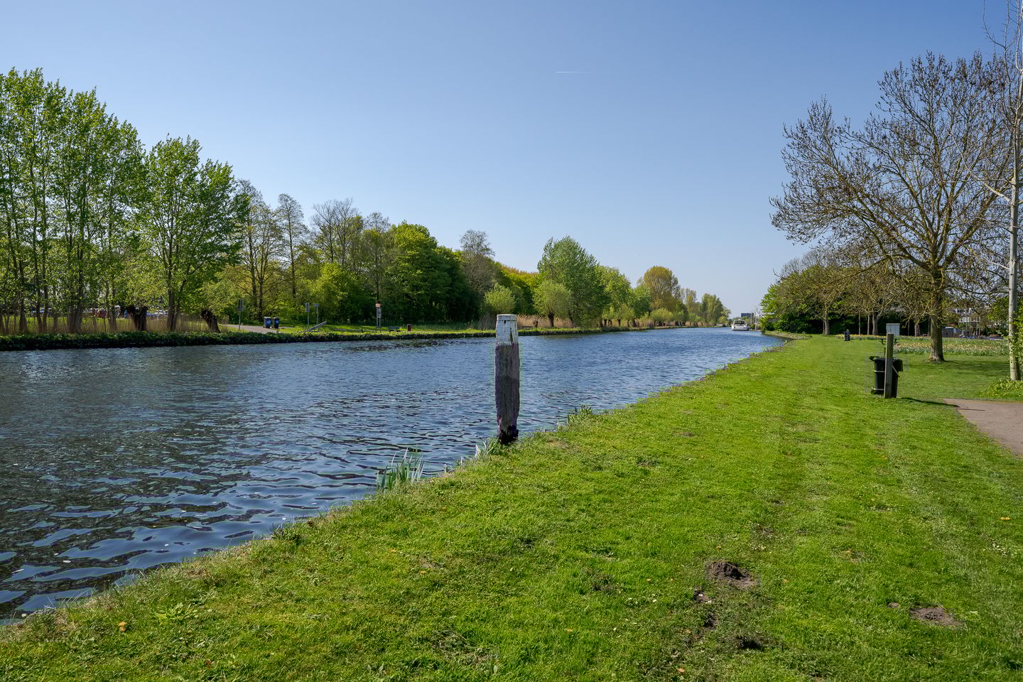 Foto 34 van Frans Halsplantsoen 137