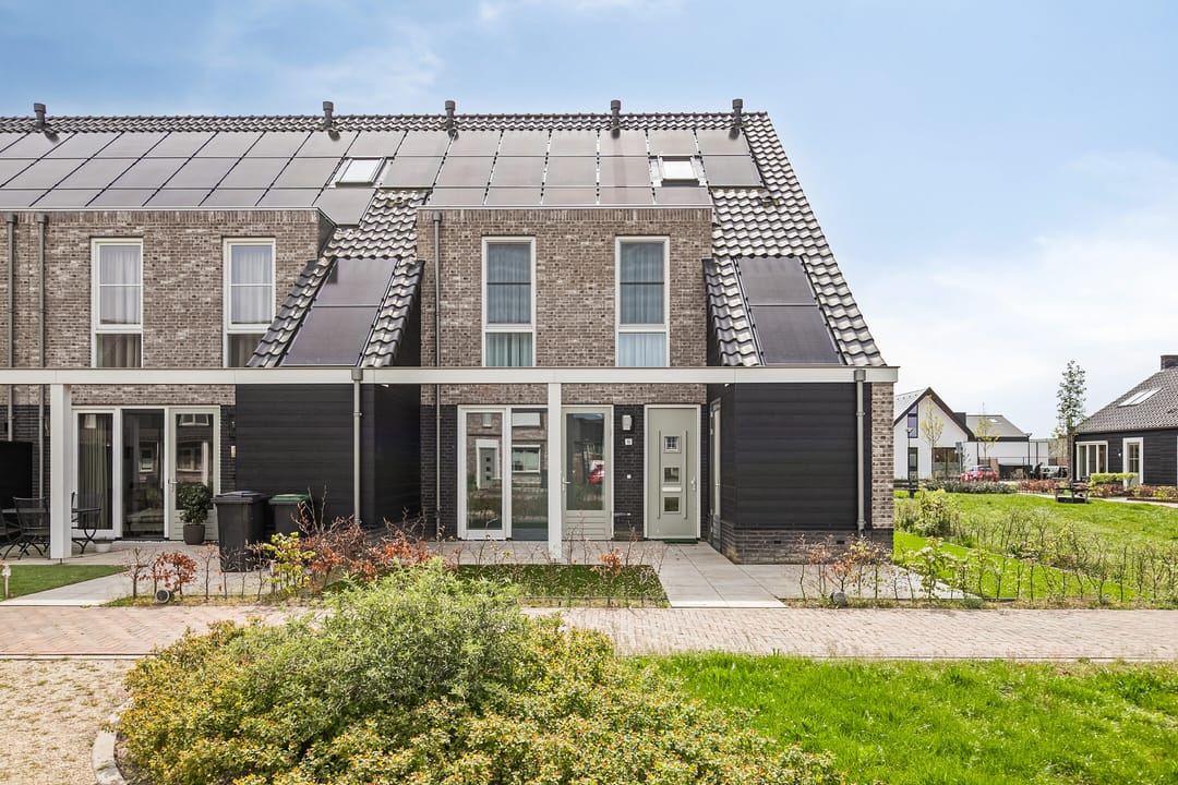 Foto 1 van Boerenzwaluw 10