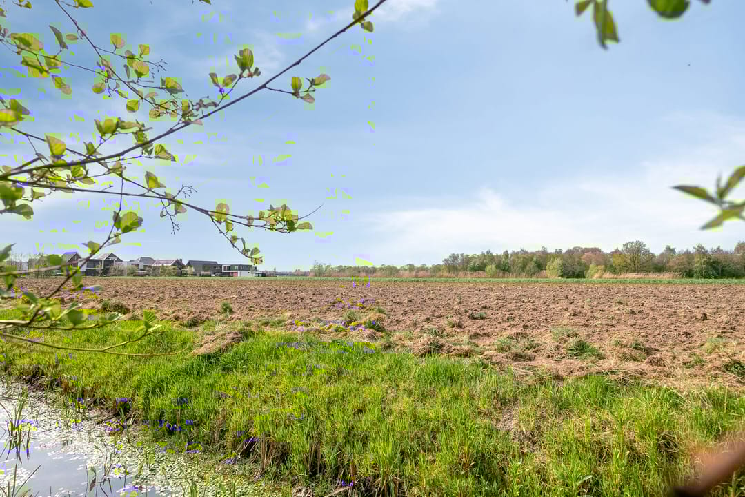 Foto 32 van Boerenzwaluw 10