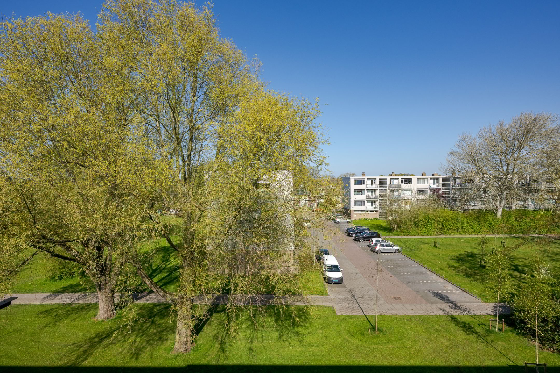 Foto 30 van Frans Halsplantsoen 137