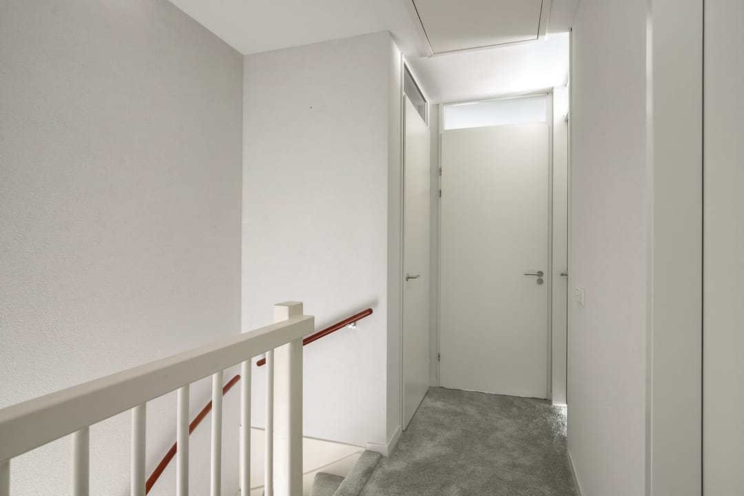 Foto 16 van Boerenzwaluw 10