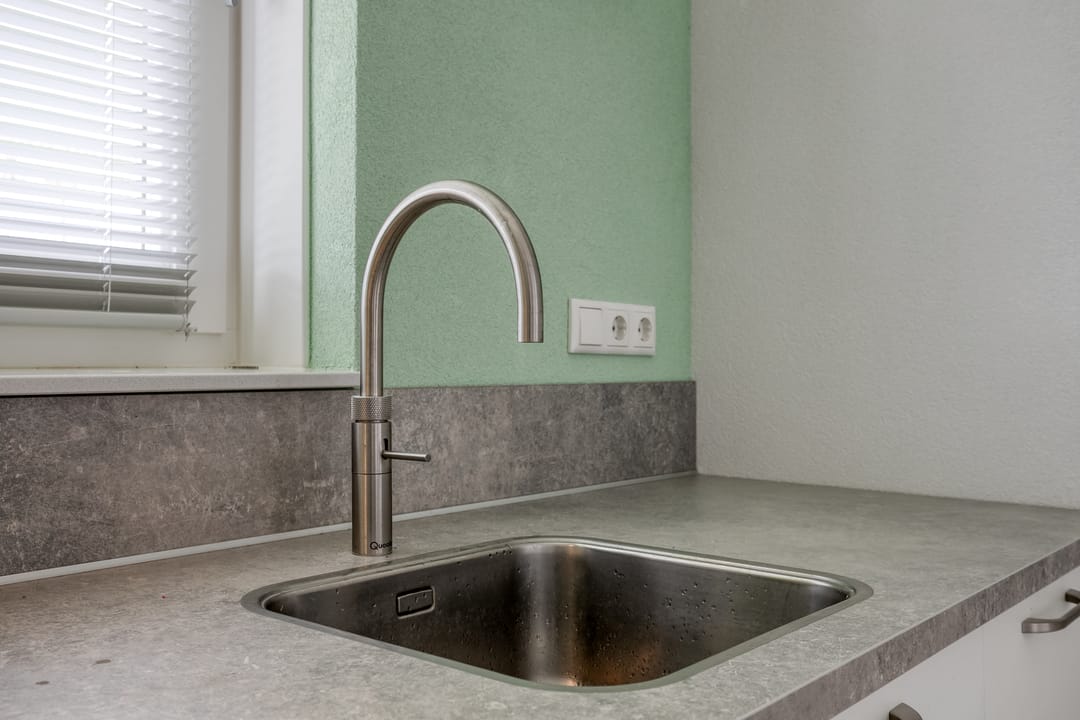 Foto 13 van Boerenzwaluw 10