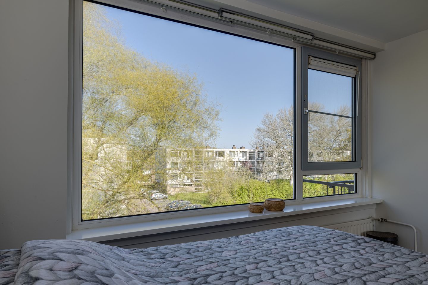 Foto 19 van Frans Halsplantsoen 137