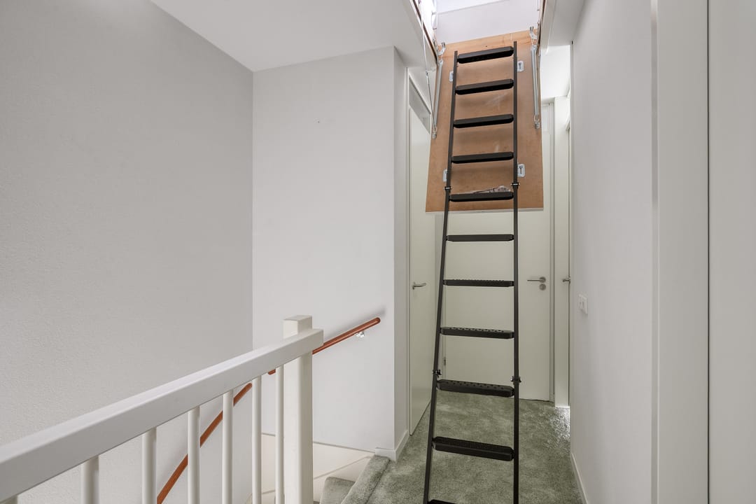 Foto 23 van Boerenzwaluw 10