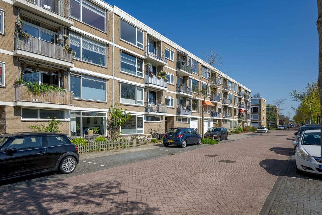 Foto 7 van Frans Halsplantsoen 137