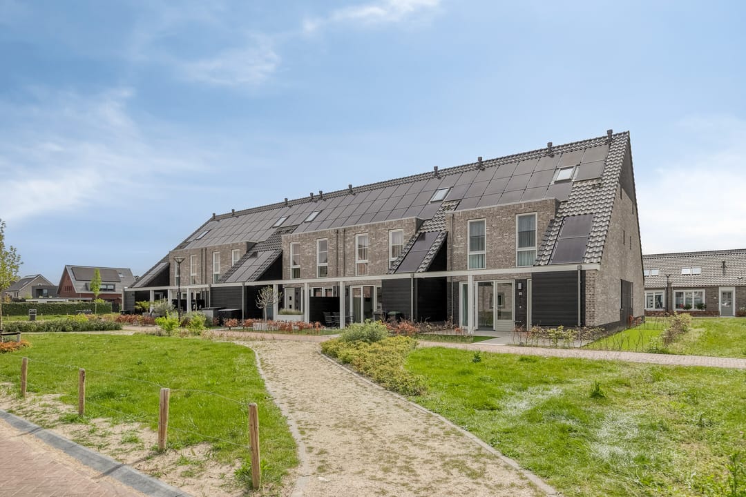 Foto 28 van Boerenzwaluw 10