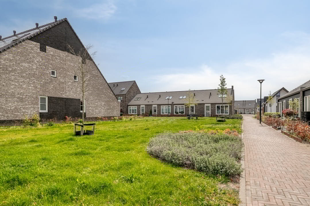 Foto 31 van Boerenzwaluw 10