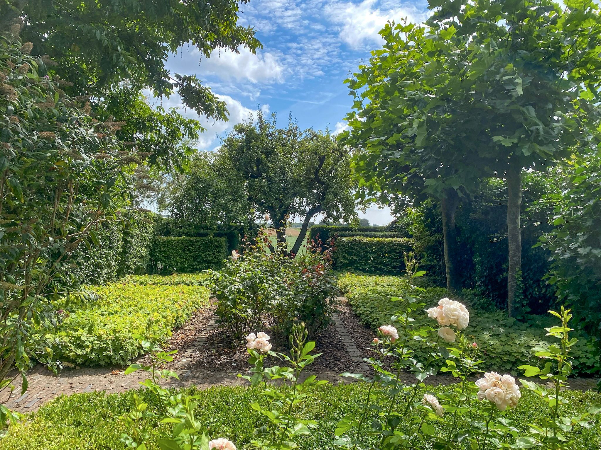 Photo 12 of Noordlangeweg 32