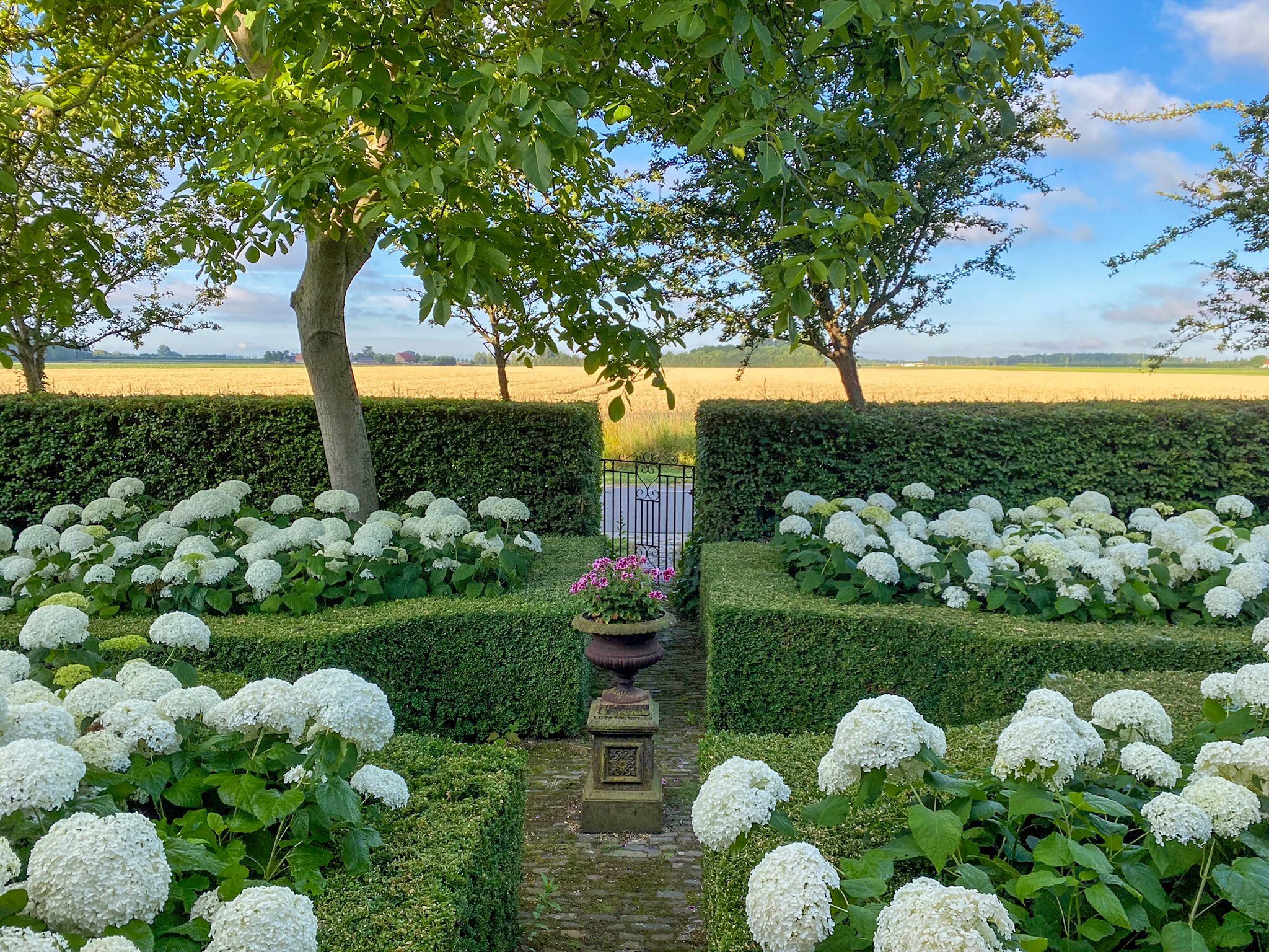 Photo 18 of Noordlangeweg 32