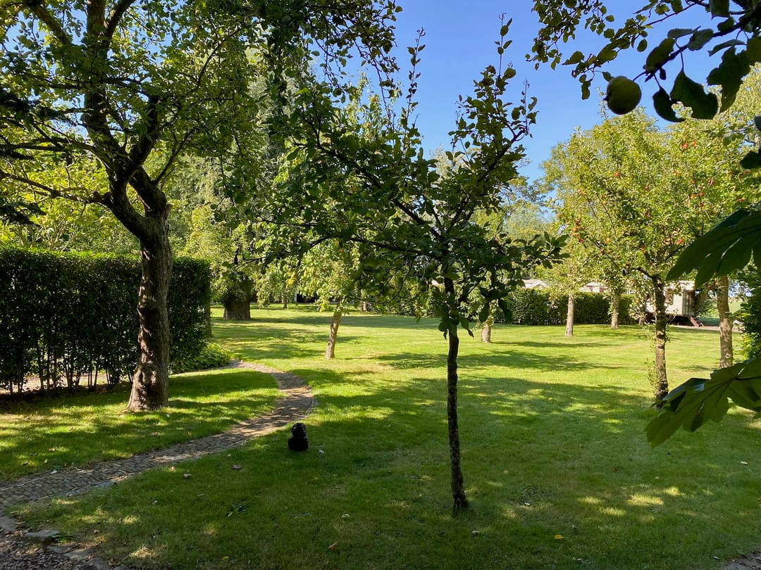 Photo 11 of Noordlangeweg 32