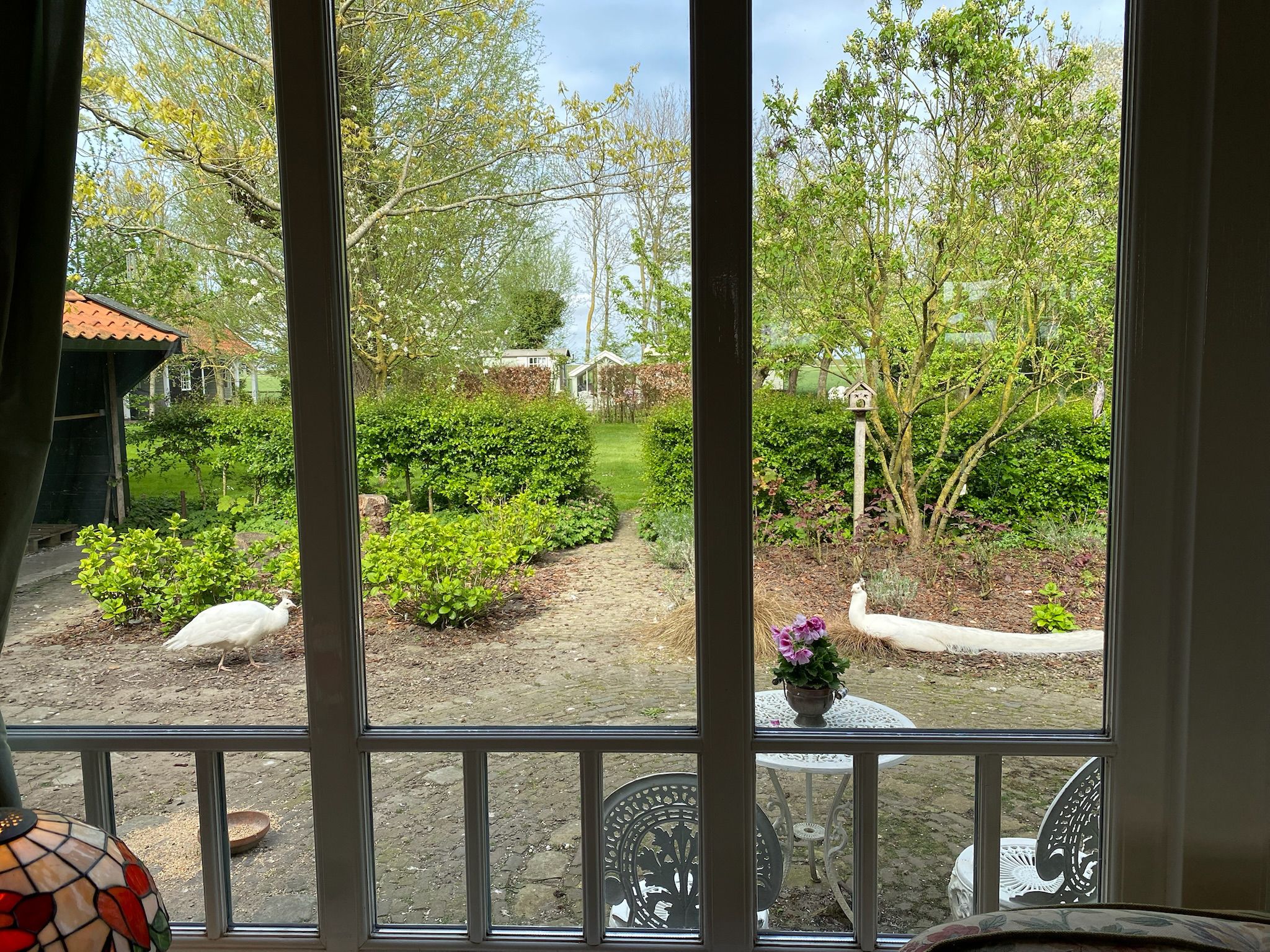 Photo 36 of Noordlangeweg 32