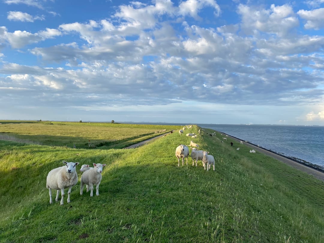 Photo 91 of Noordlangeweg 32