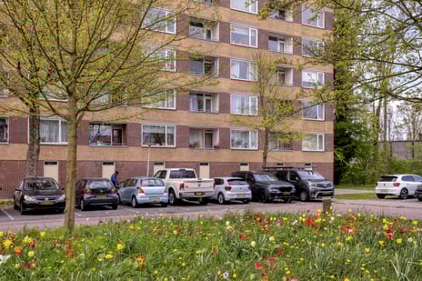 Fluitekruidweg thumbnail