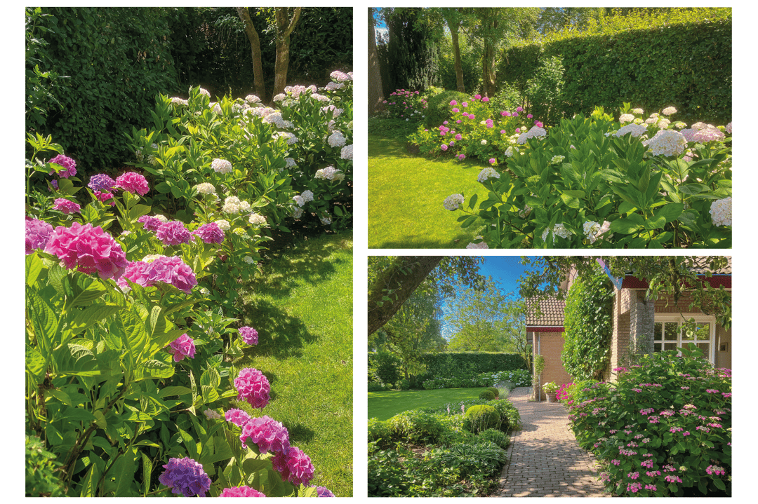 Foto 46 van Leerdamseweg 52