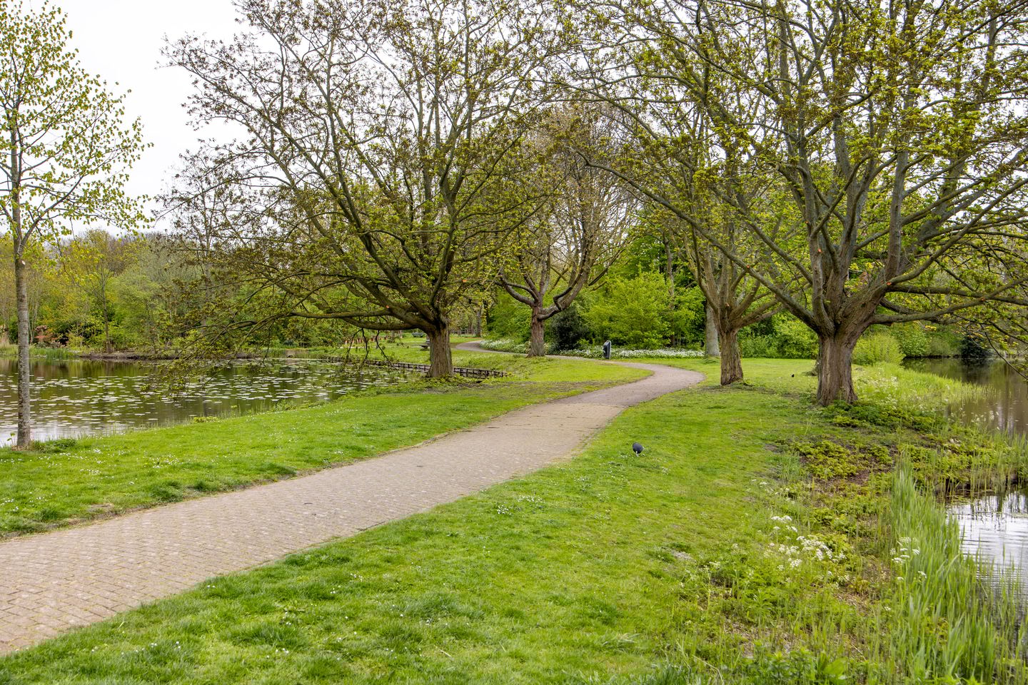 Photo 29 of Steenbakkerslaan 14