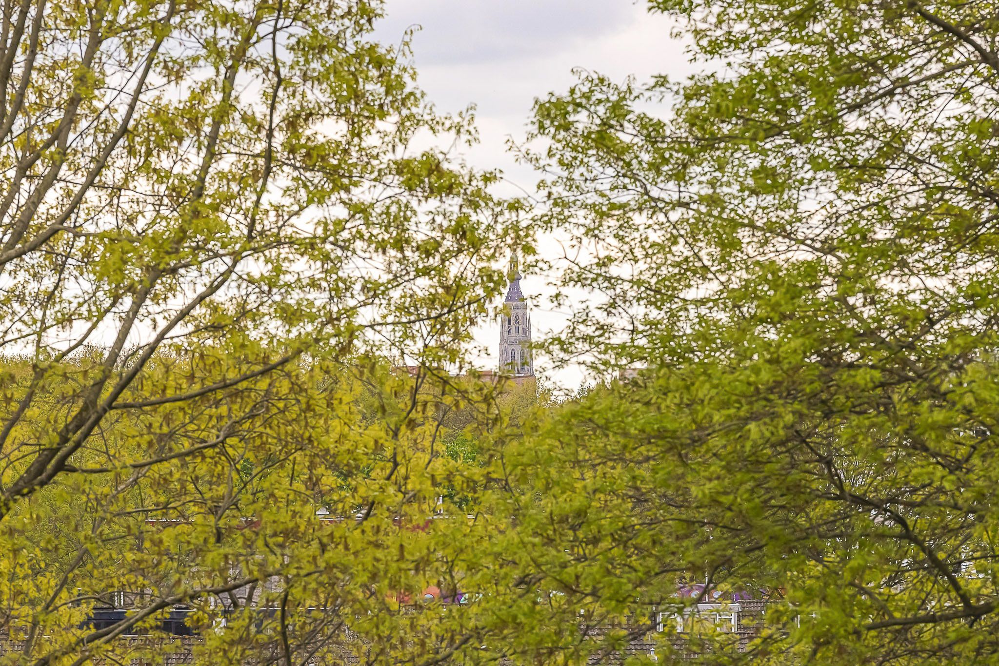 Foto 27 van Brusselstraat 746