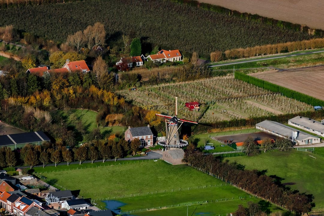 Photo 41 of Orisantstraat 9