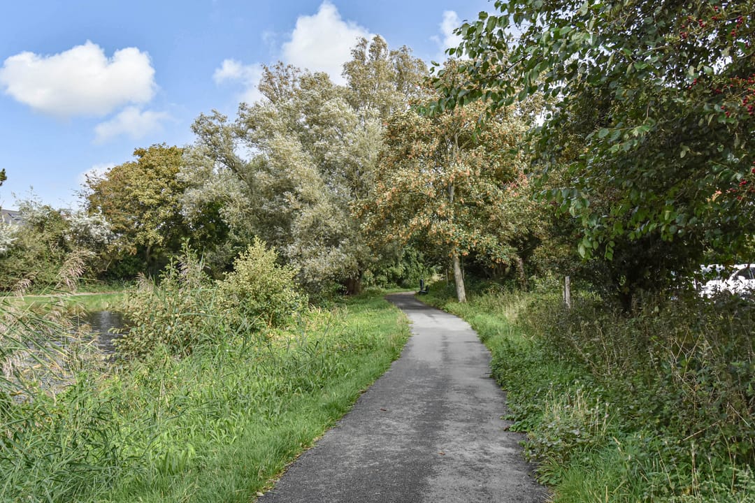 Foto 53 van Balsemienlaan 242