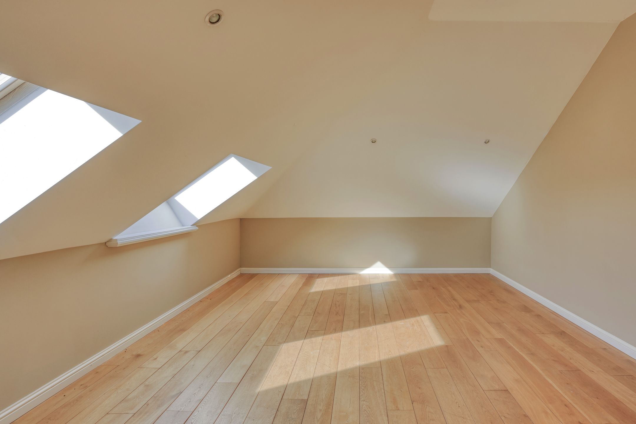 Photo 27 of Steenhof 4