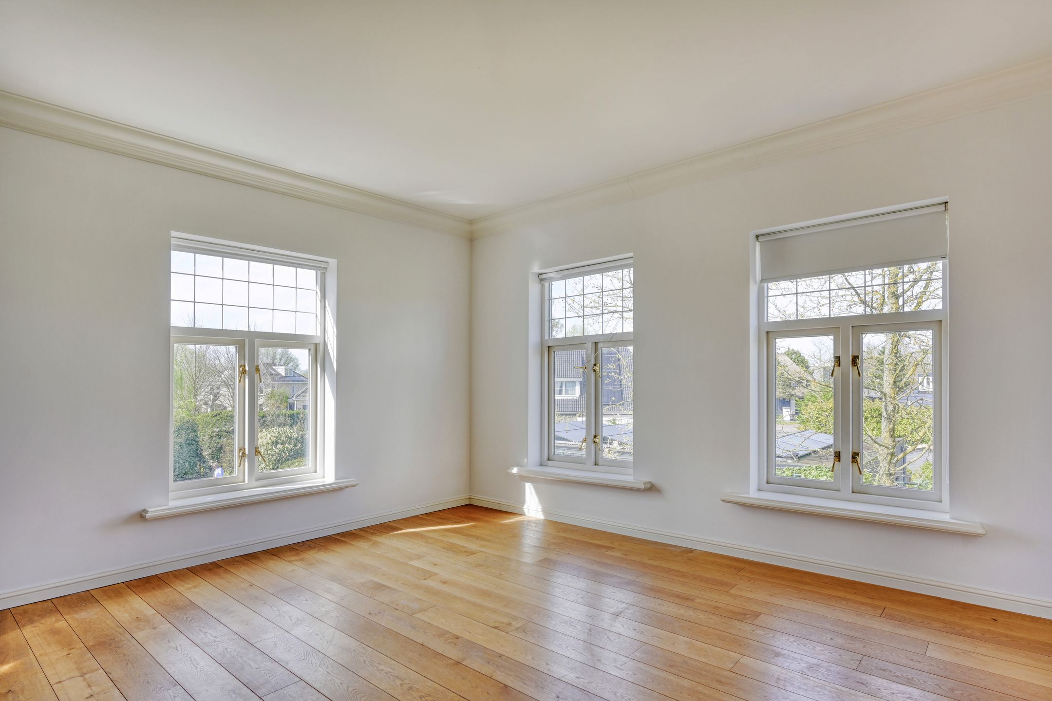 Photo 21 of Steenhof 4