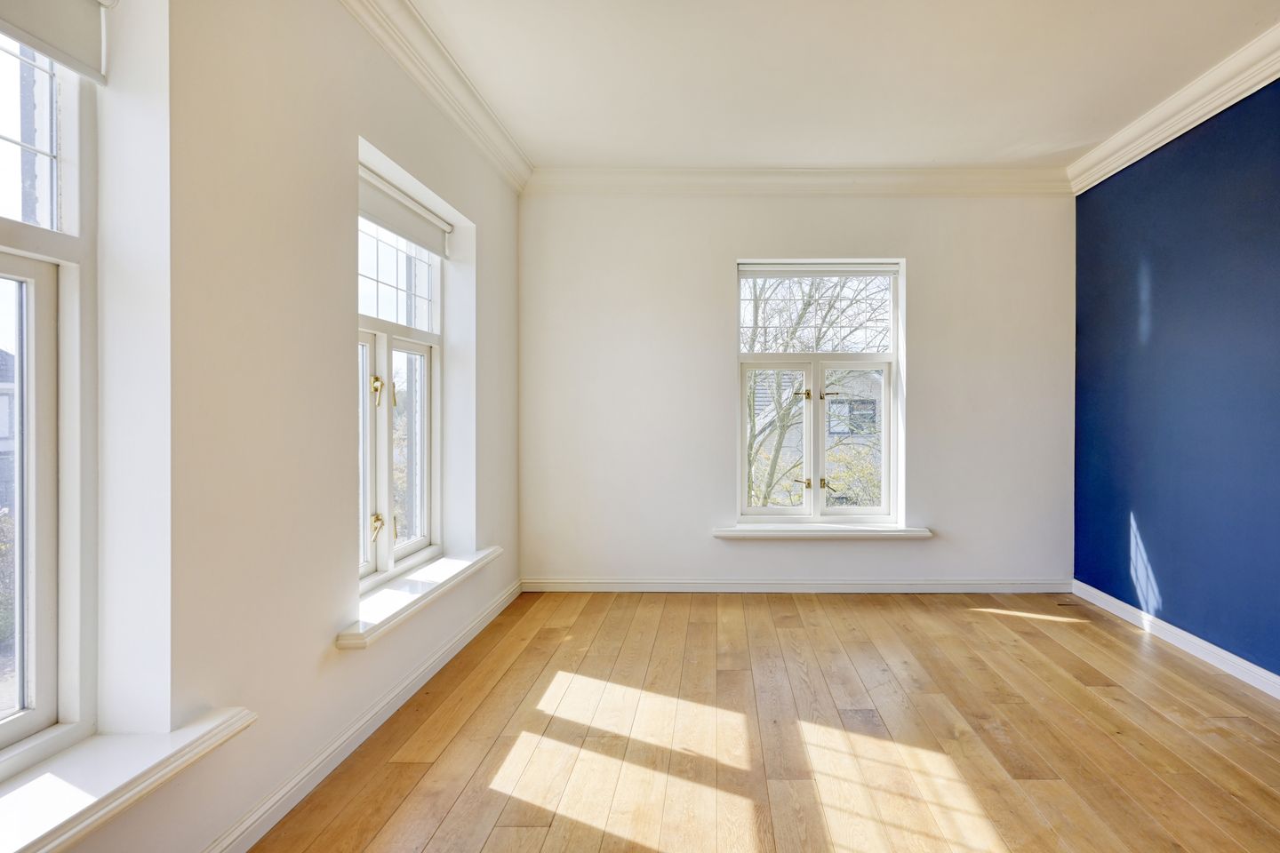 Photo 20 of Steenhof 4