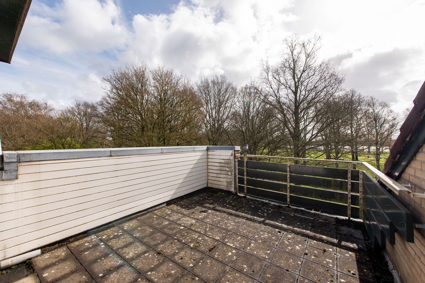 Foto 14 van Kempen 8