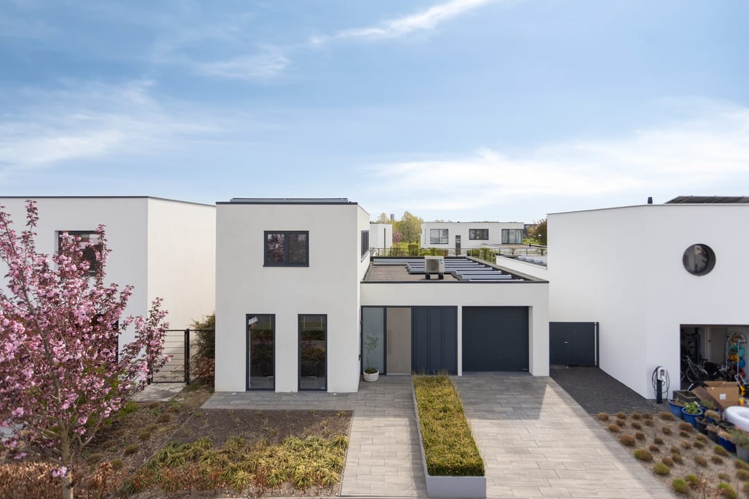 Foto 58 van Muurbloem 4