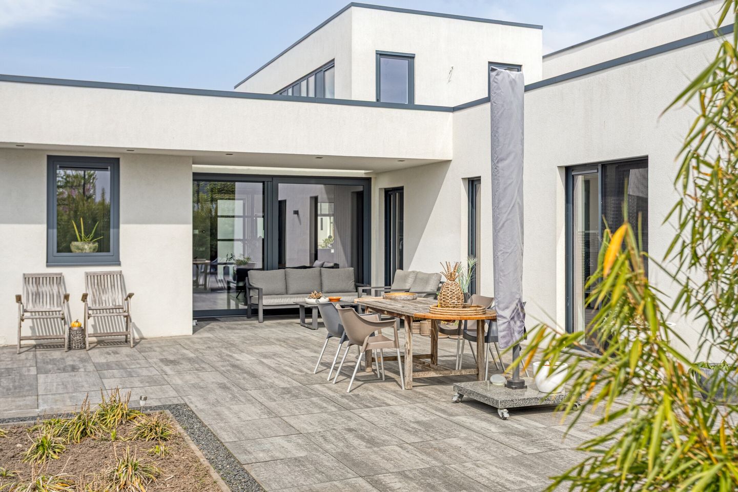 Foto 5 van Muurbloem 4