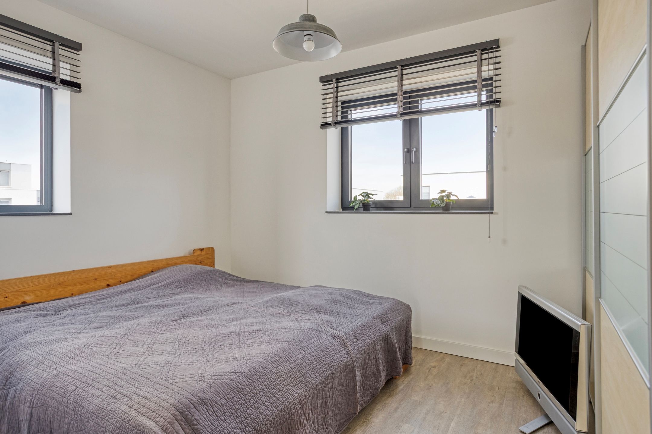 Foto 42 van Muurbloem 4