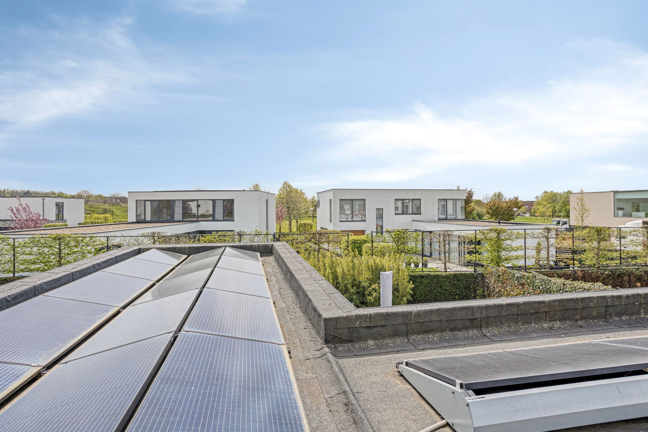 Foto 57 van Muurbloem 4