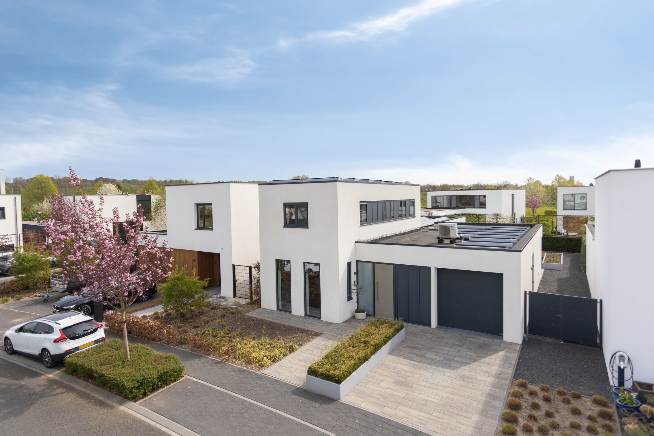 Foto 60 van Muurbloem 4