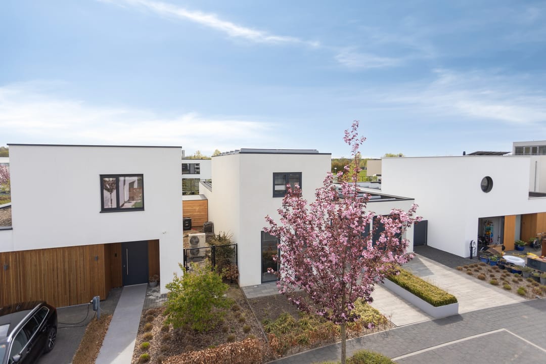 Foto 61 van Muurbloem 4